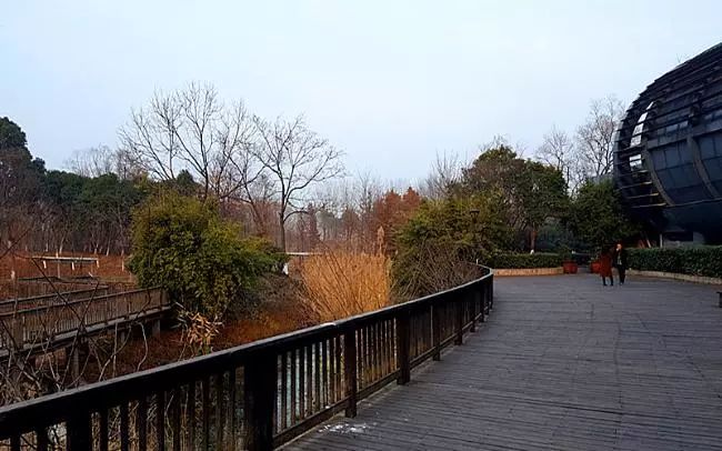 摄影美文丨七桥瓮生态湿地公园——冬景