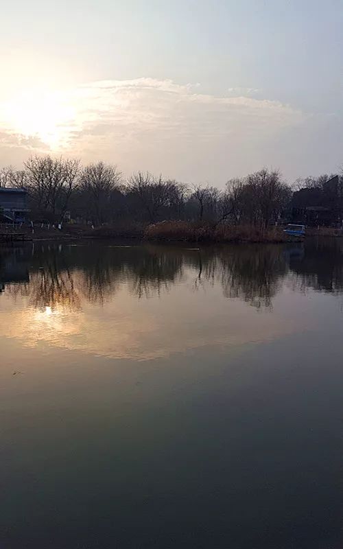 摄影美文丨七桥瓮生态湿地公园——冬景