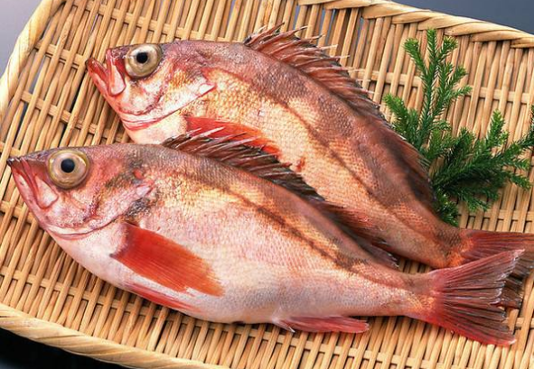 红鲷鱼多少钱一斤（鲷鱼多少钱一斤）