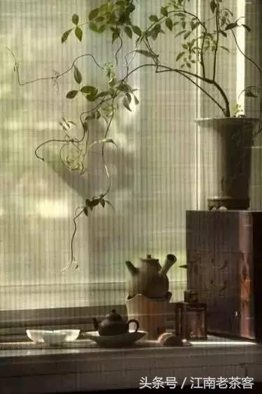 懂茶妹说茶｜一壶清茶，一颗静心