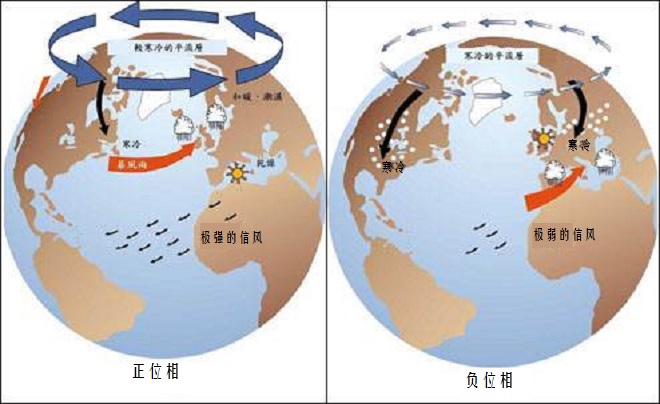今年冬季我国大范围寒潮暴雪天气，是不是和“北极涛动”有关？