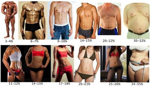 減脂前你知道體脂有幾種嗎？完美的身材不是體脂越低越好！