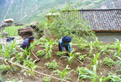 为“悬崖村”脱贫支招:保留“天梯” 连片开发山地旅游