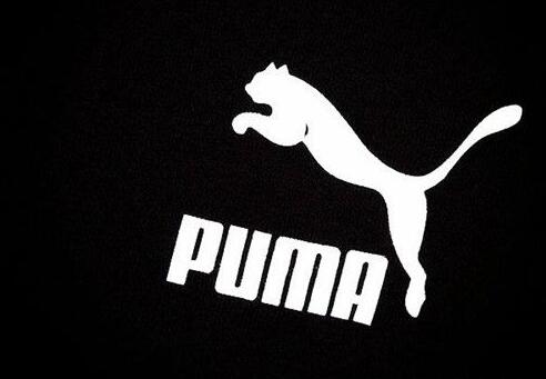 puma是什么牌子（关于puma是什么牌子相关内容）