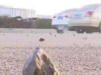 保护底盘 你需要防范这些杀手！