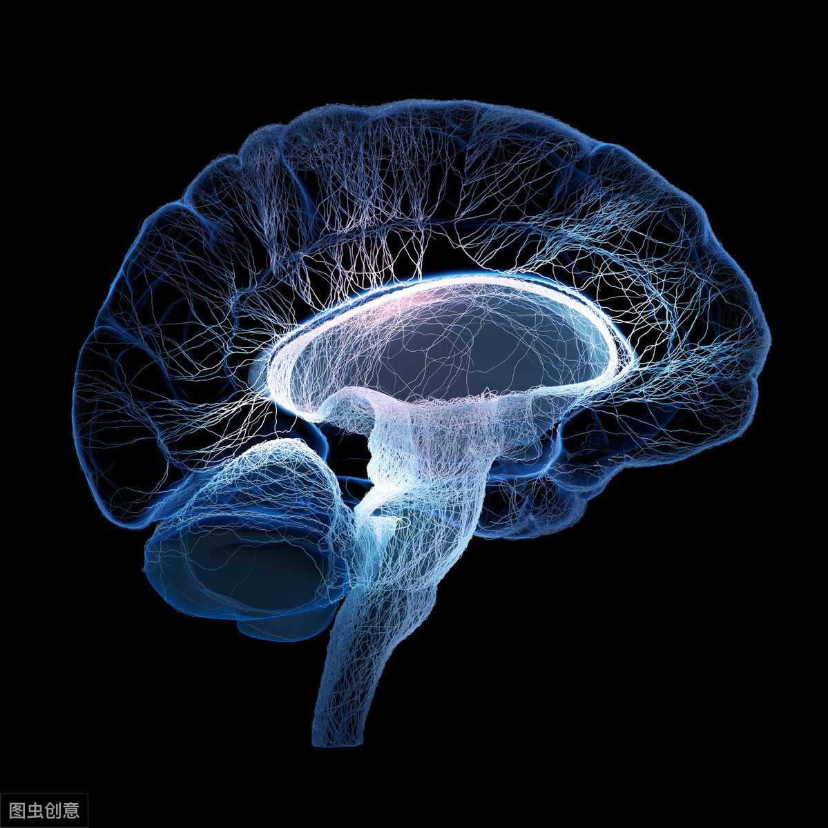 辟谣：腔梗和脑梗不是一回事？其实腔隙性脑梗塞是脑梗的一种