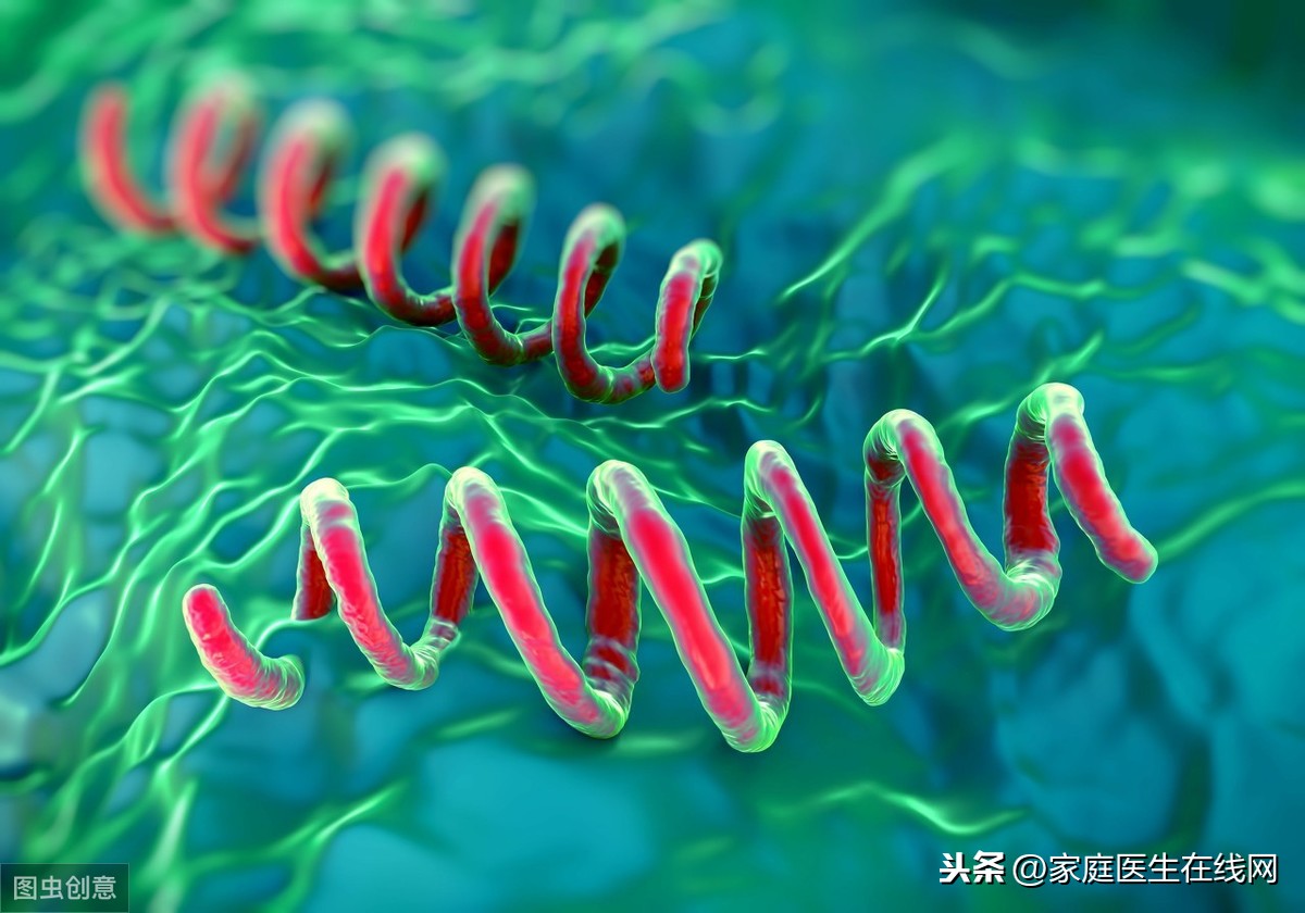 梅毒是怎么传染的？2个传播途径了解下