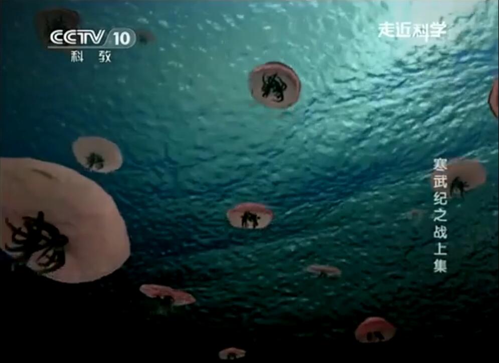 【国语中字】CCTV10走进科学：寒武纪之战（2013）【全1集】图片 No.1