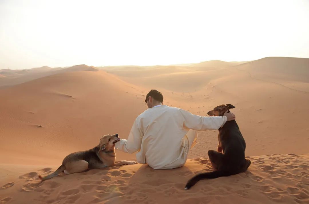 日本妹子嫁到阿联酋，在5万平米的沙漠“后院”里养猫养骆驼是怎样的体验？_图片 No.3