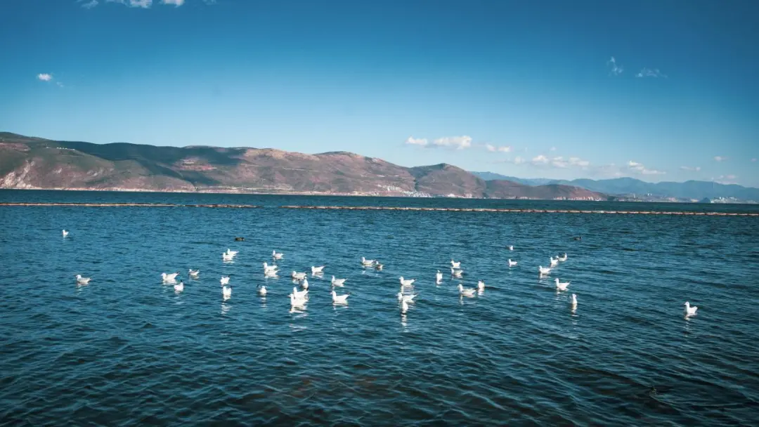 二/三胎家庭选车必看！试驾广汽丰田赛那SIENNA