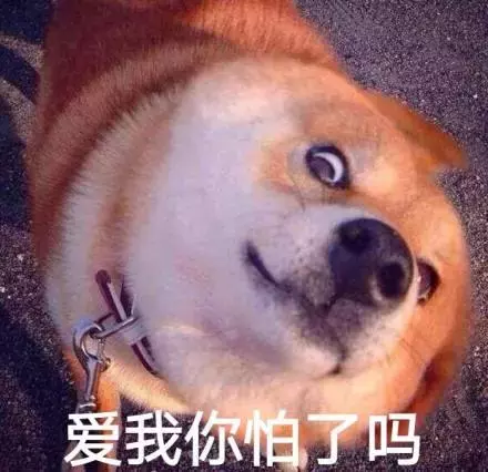 00后女友花400多给爱犬美容,男友花30元理发却嫌贵?