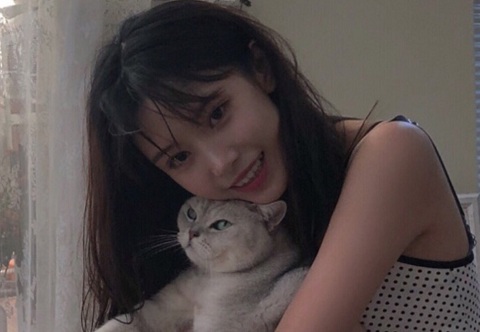 什么是绿茶婊的特点