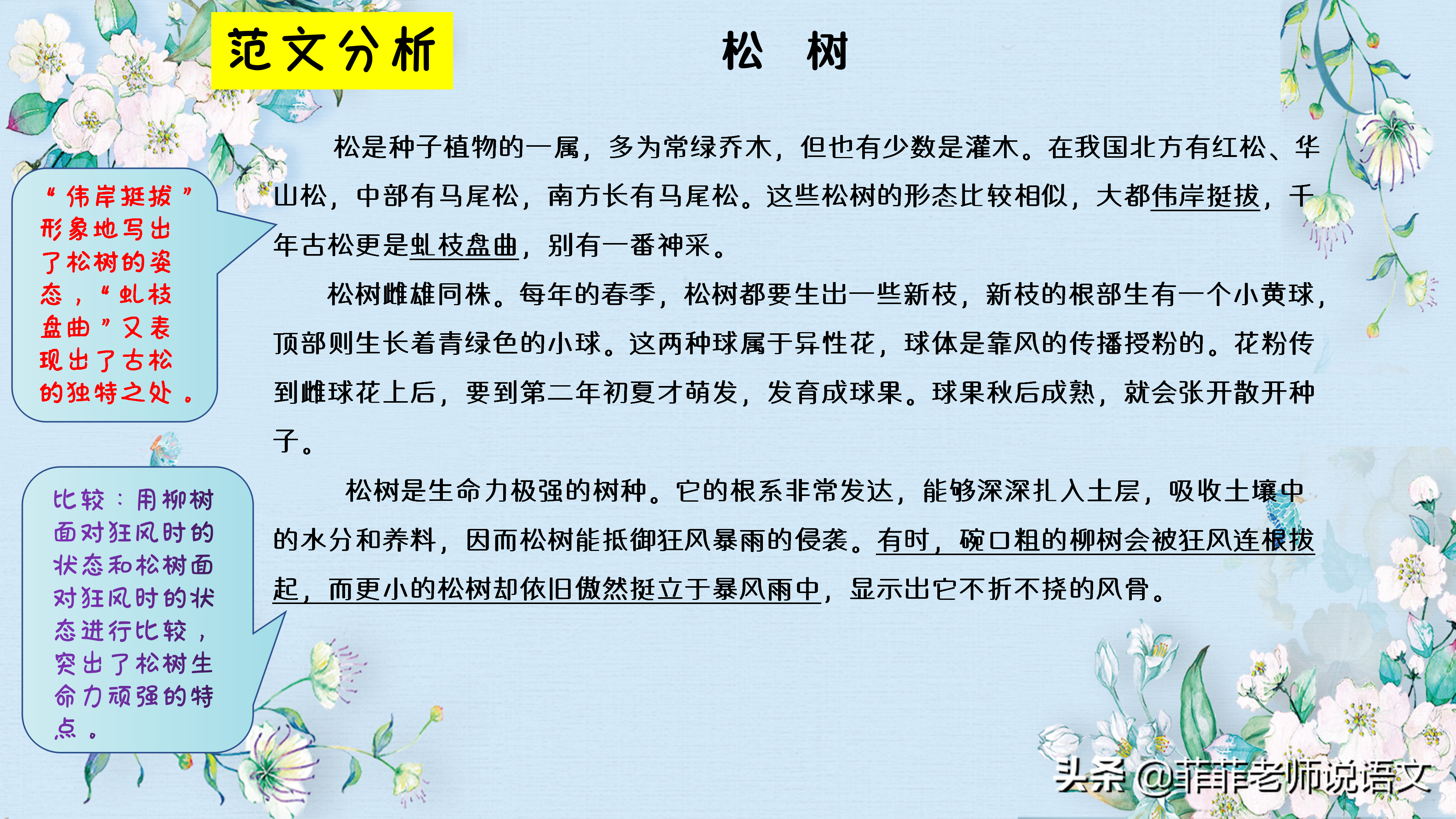 说明文该怎么写？说明文开头结尾的技法有哪些？一起来学习吧！