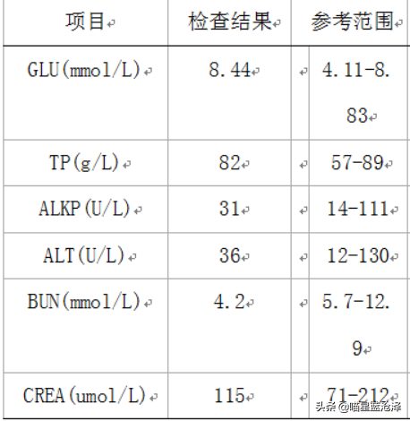 关于幼猫你不知道的10件事之——猫瘟是个什么玩意儿？