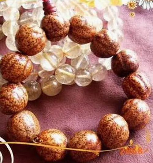 菩提子种类全详解（配图不易）