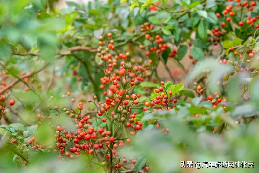 天蒙旅游区为冬奥助力！索道骨干人员出征2022年北京冬奥会