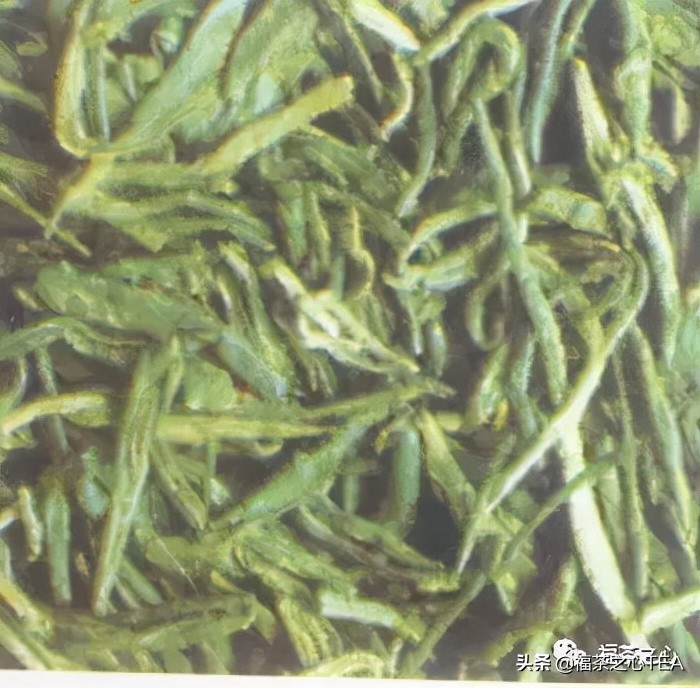 茶百科 | 中国茶叶分类大纲（收藏版）