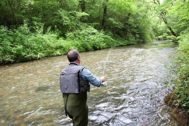 姜枣茶配合中药汤剂治疗慢阻肺，解表散寒、补中益气、养血安神