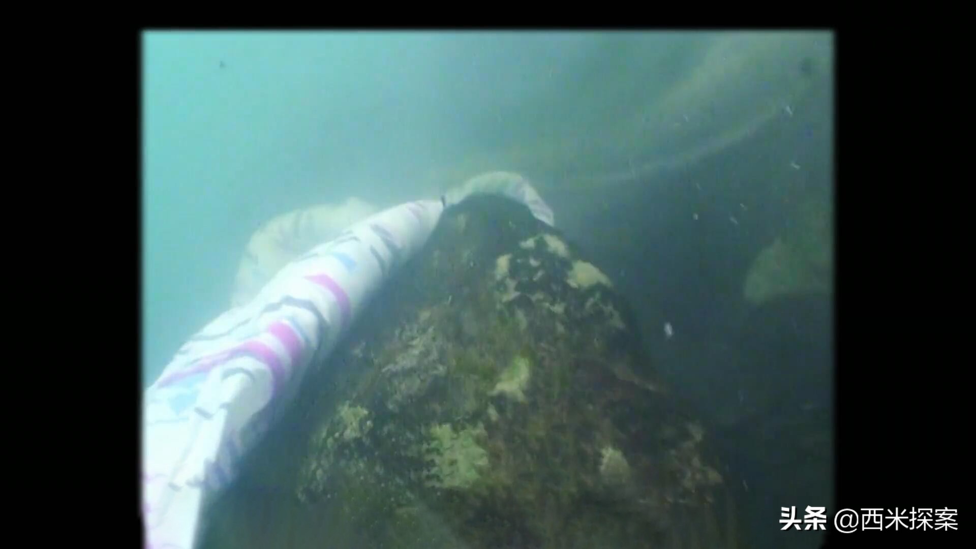 国外大案纪实：15岁少女在家奇妙失踪，警方抽丝剥茧查出原因