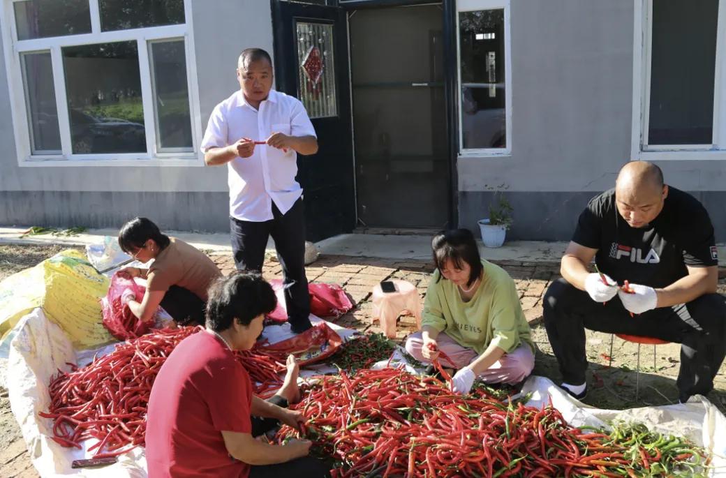 陈学亮：合作社就地致富的新打法，高能新品种让“寸土变寸金”