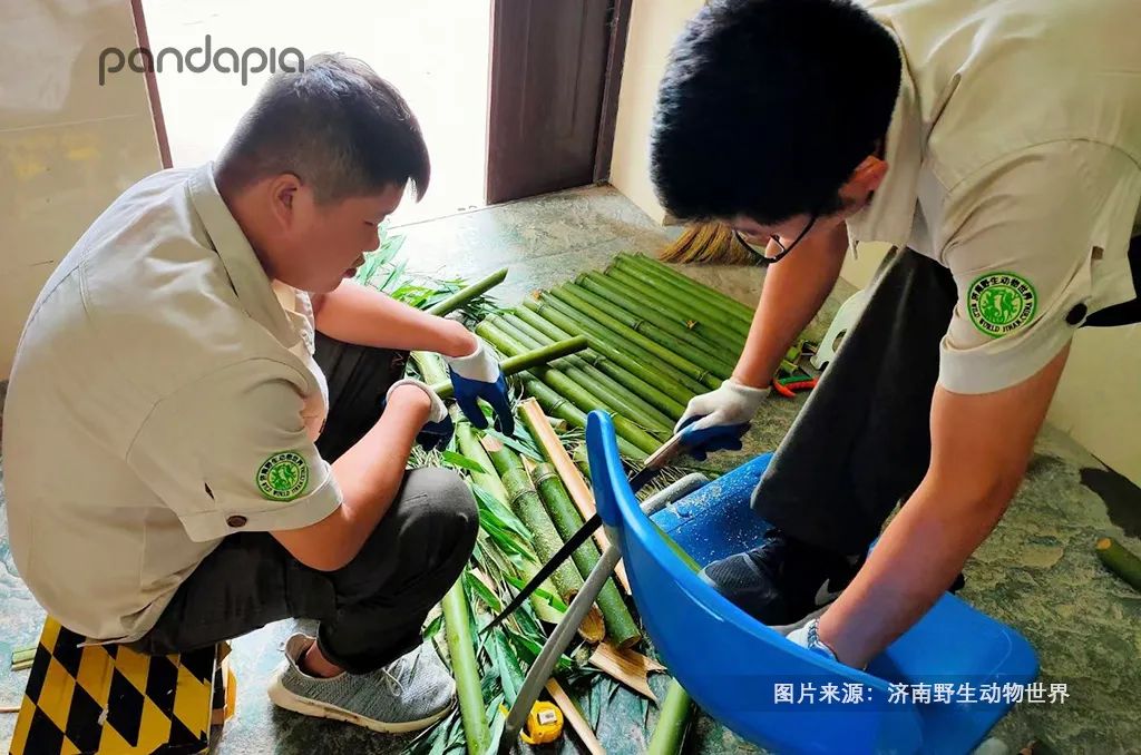 猛男必备礼物（生日礼物 男）
