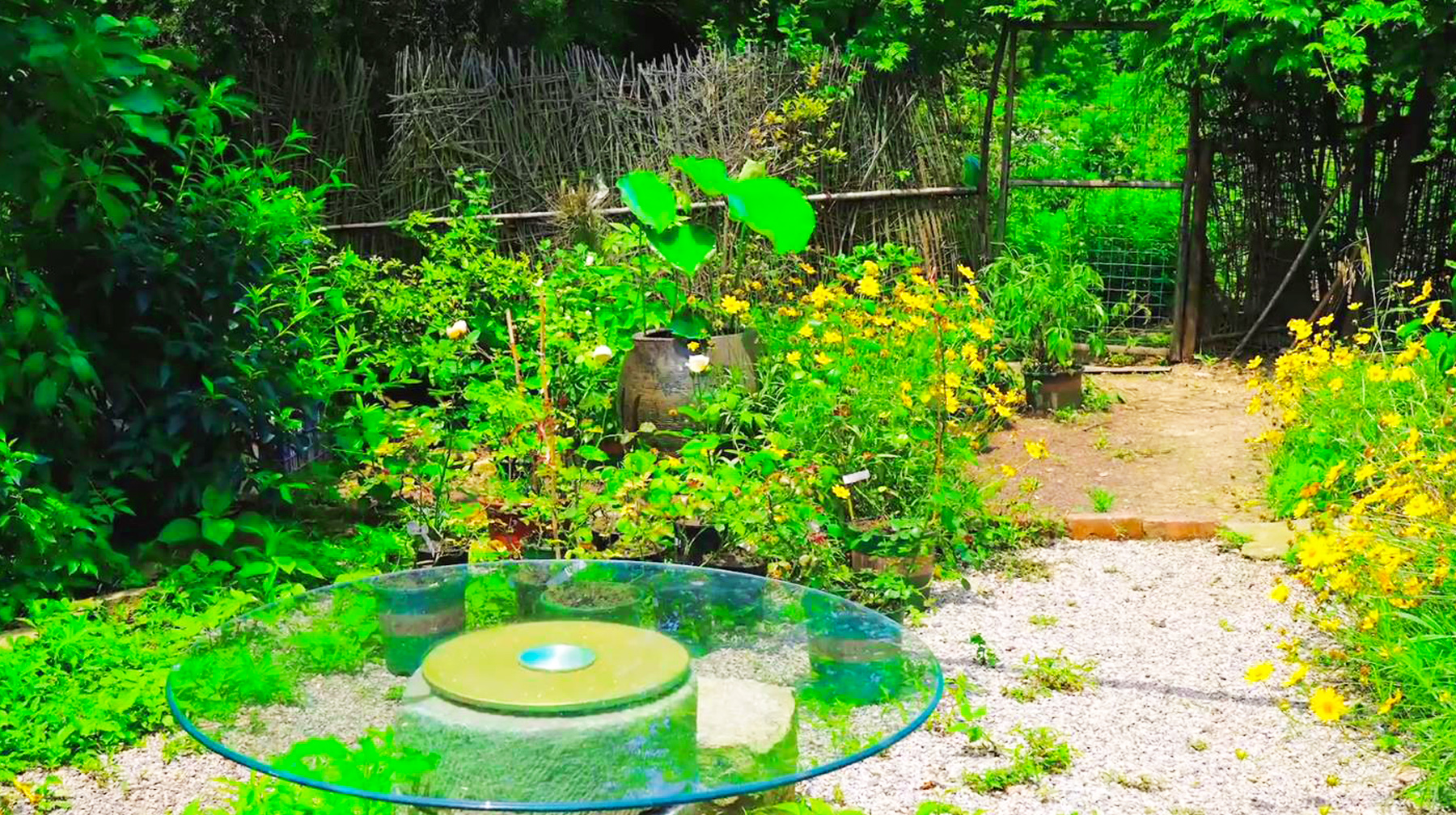 武汉新洲区有哪些旅游景点(武汉市新洲区双柳旅游景点)