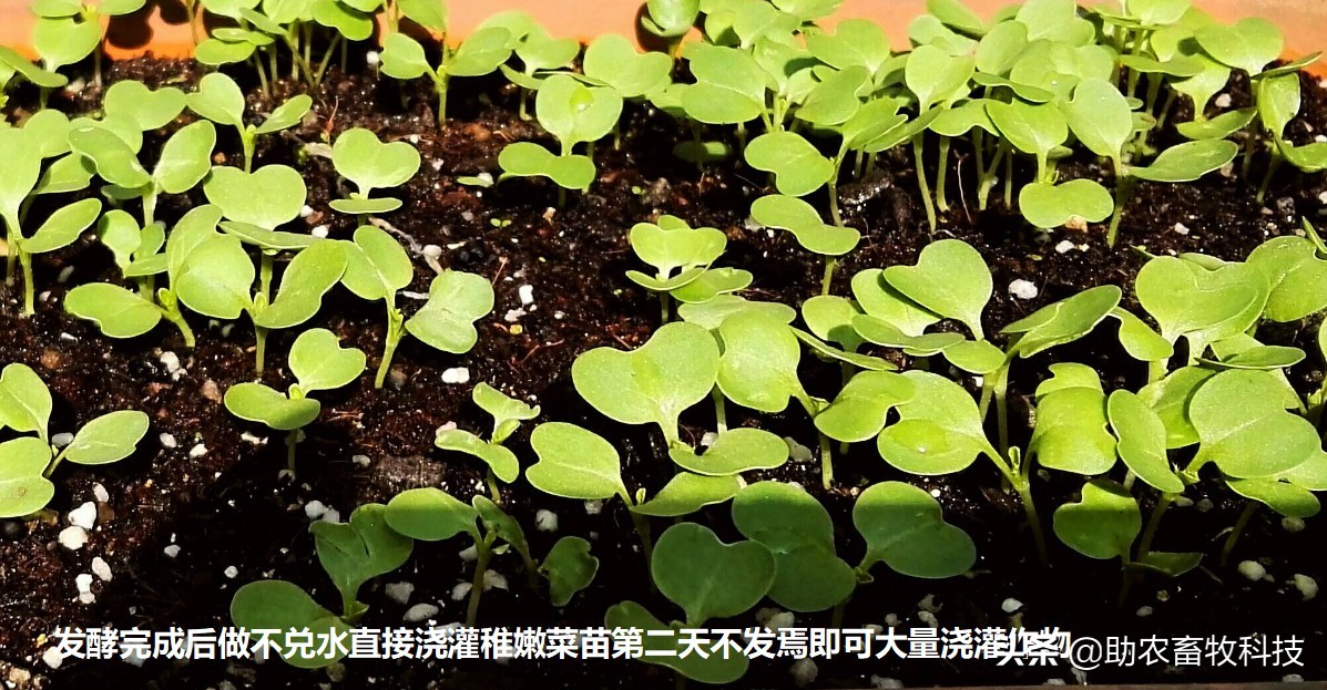æ2¼æ¶2å¿«é€Ÿå‘é…μé™¤è‡-å˜æˆæ¶2æ€æœ‰æœoè‚￥æŠ€æœˉï¼Œæˉç«‹æ–1å¤„ç†æˆæœ¬1å…ƒå·|å3
