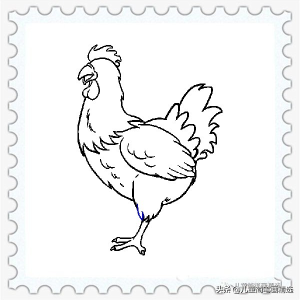 儿童简笔画精选【家禽家畜】-肉鸡（Chicken）的绘画教程