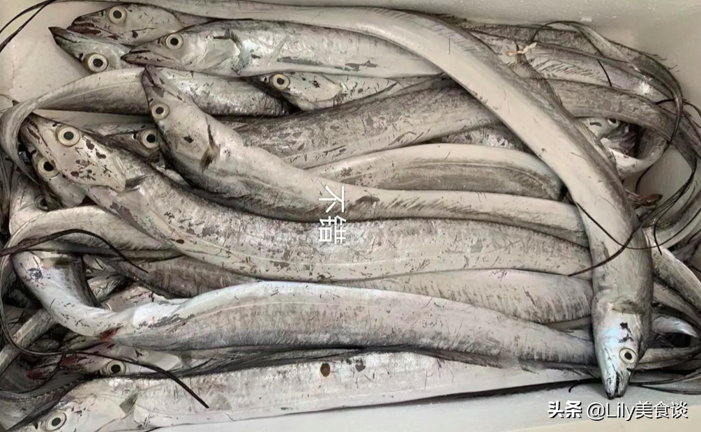 海鱼有哪些品种，老渔民推荐的6种海鱼？