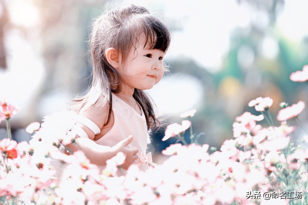 “芹”字怎么读？女孩起名用“芹”的寓意与发音解析