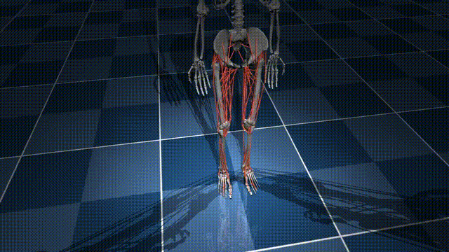 刚盈利的DeepMind收购MuJoCo：转手开源，所有人免费用