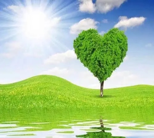 在婚姻中、你们是否遇到过冷暴力？你们是如何应对、又如何避免的