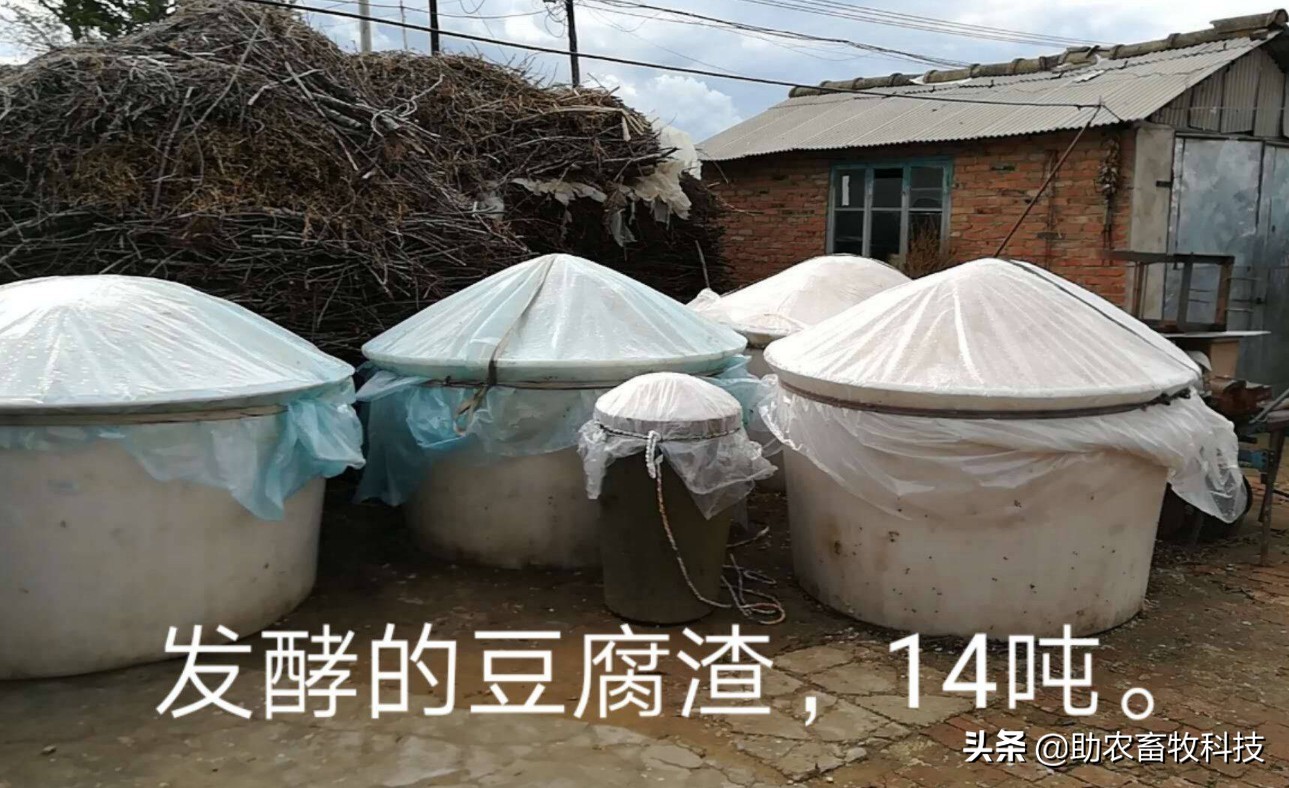 今后只有三種豬場(chǎng)（自有散養(yǎng)豬場(chǎng)）是可以長(zhǎng)期保持穩(wěn)定盈利的