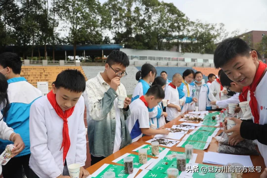 中医药文化进校：科学城一中弘扬传统文化，助力青少年健康成长