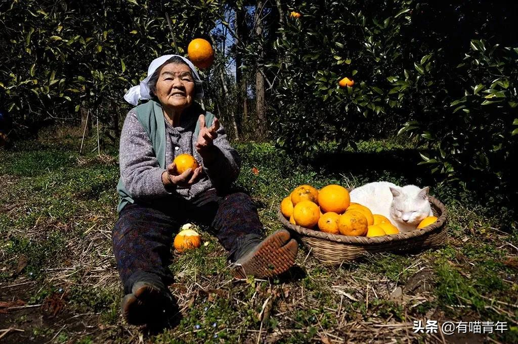 谢谢，福丸！再见，福丸