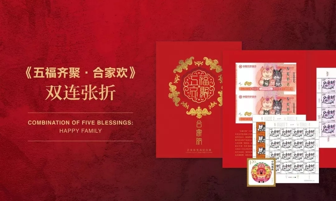 己亥年是什么生肖（乙亥年是什么生肖）