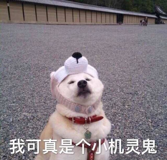 怎么注册一家新公司，营业执照怎么申请？我要办哪个营业执照？