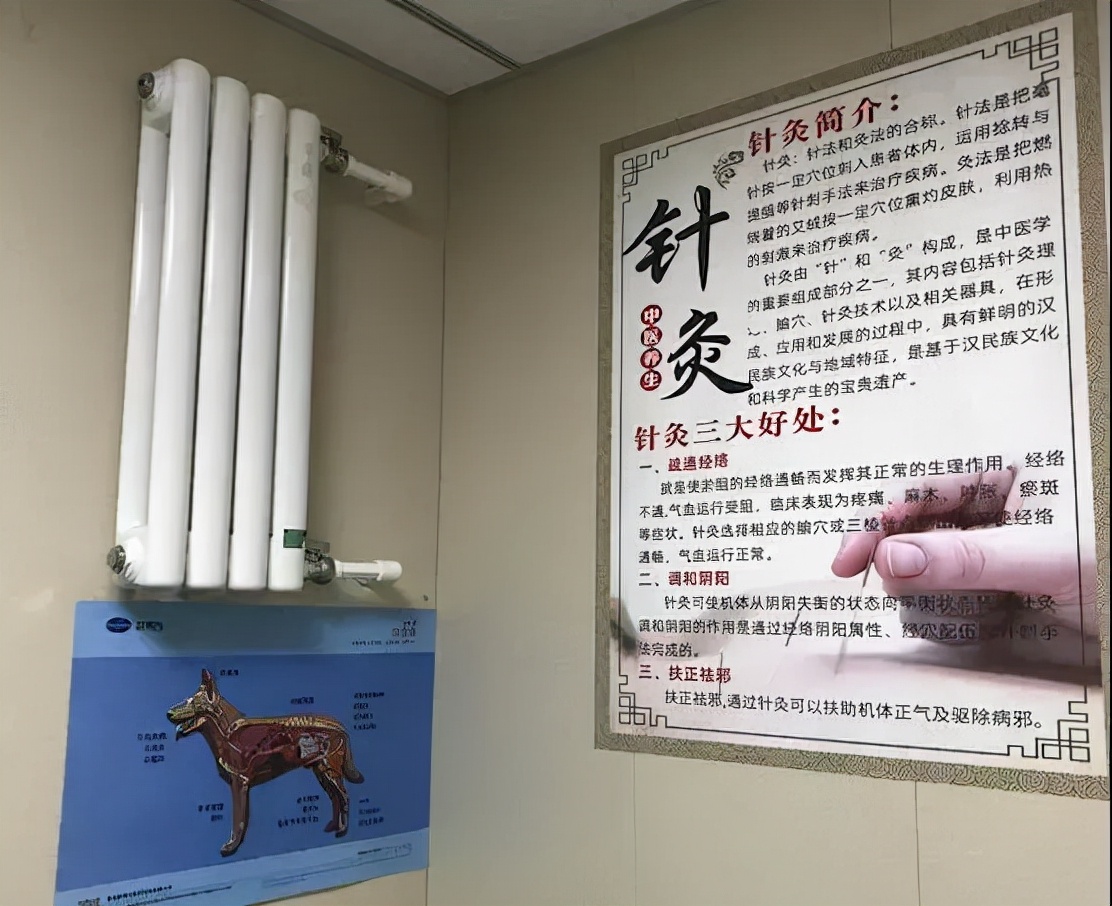 本草科普 | 动物都开始用中医药啦，你还不知道吧