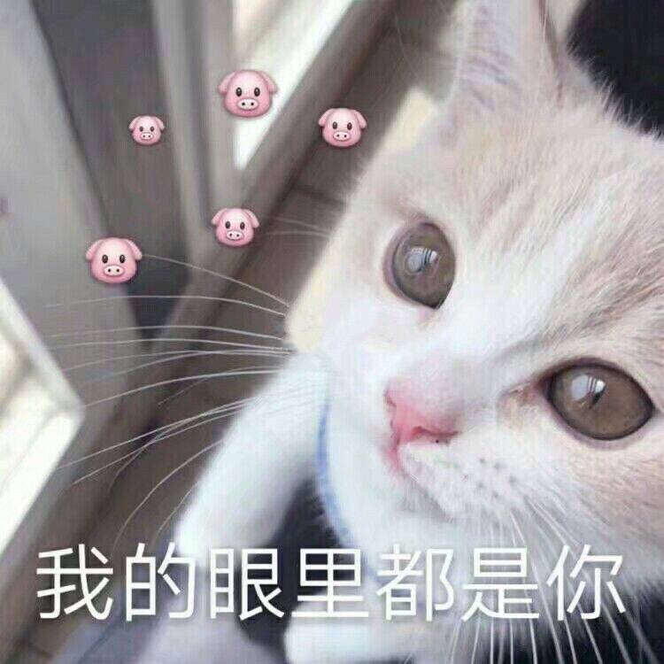 耳饰店铺推荐（大家一般在哪里买耳饰）