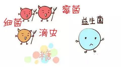 女性各类常见阴道炎的防和治，宅在家里应知道
