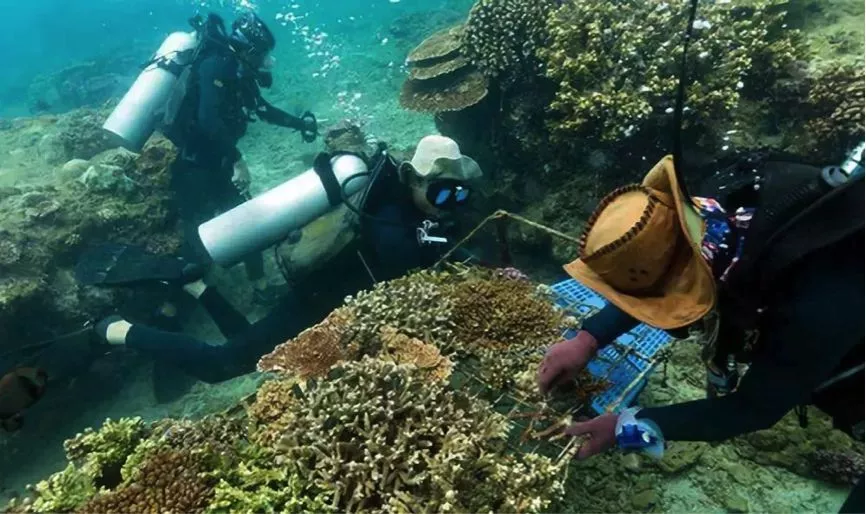 日本冈山县海洋牧场音响投饵提升渔业资源