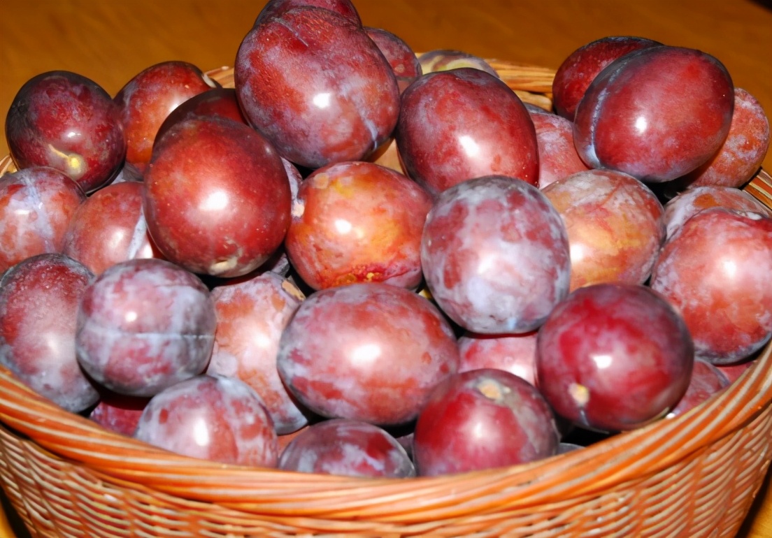 李子的一种，定植2年就挂果，一斤高达20元，还常被当成进口水果