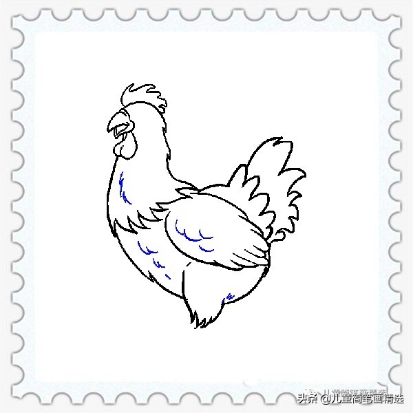 儿童简笔画精选【家禽家畜】-肉鸡（Chicken）的绘画教程