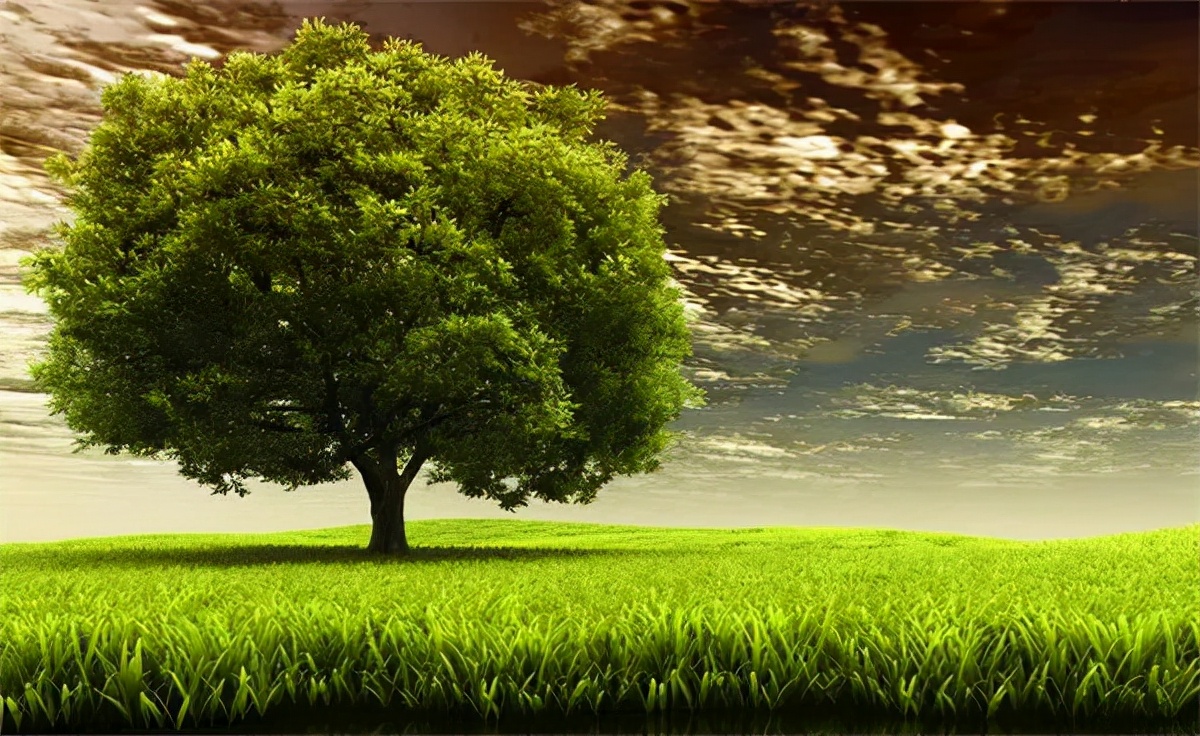 企业为什么要做全网整合营销？看完或许就有答案