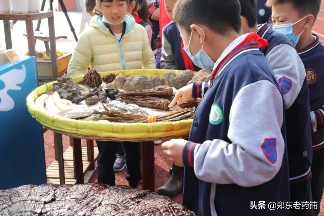 弘扬岐黄文化 感受中医药魅力