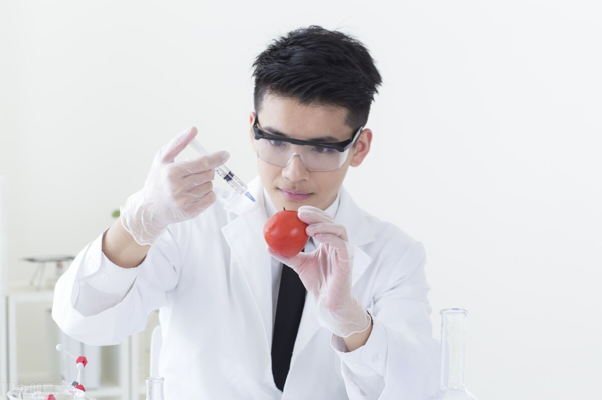 西红柿为什么没有以前好吃了？科研人员历时4年终于发现问题关键
