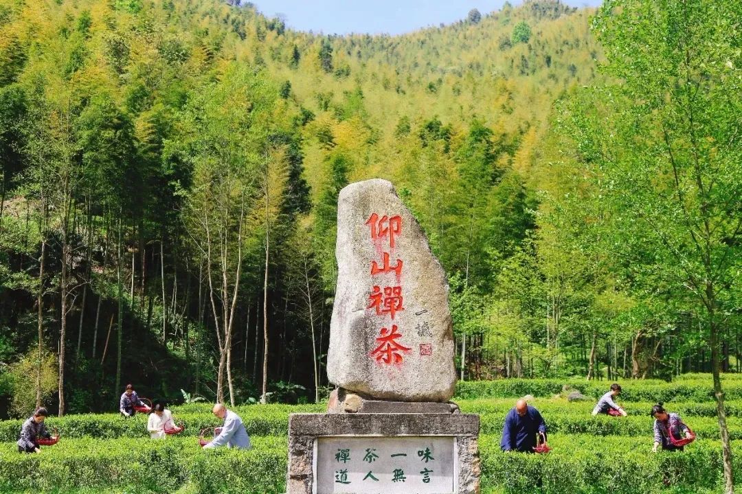 深山藏古寺 | 跨越千年，这里珍藏着一部“浩瀚史诗”！