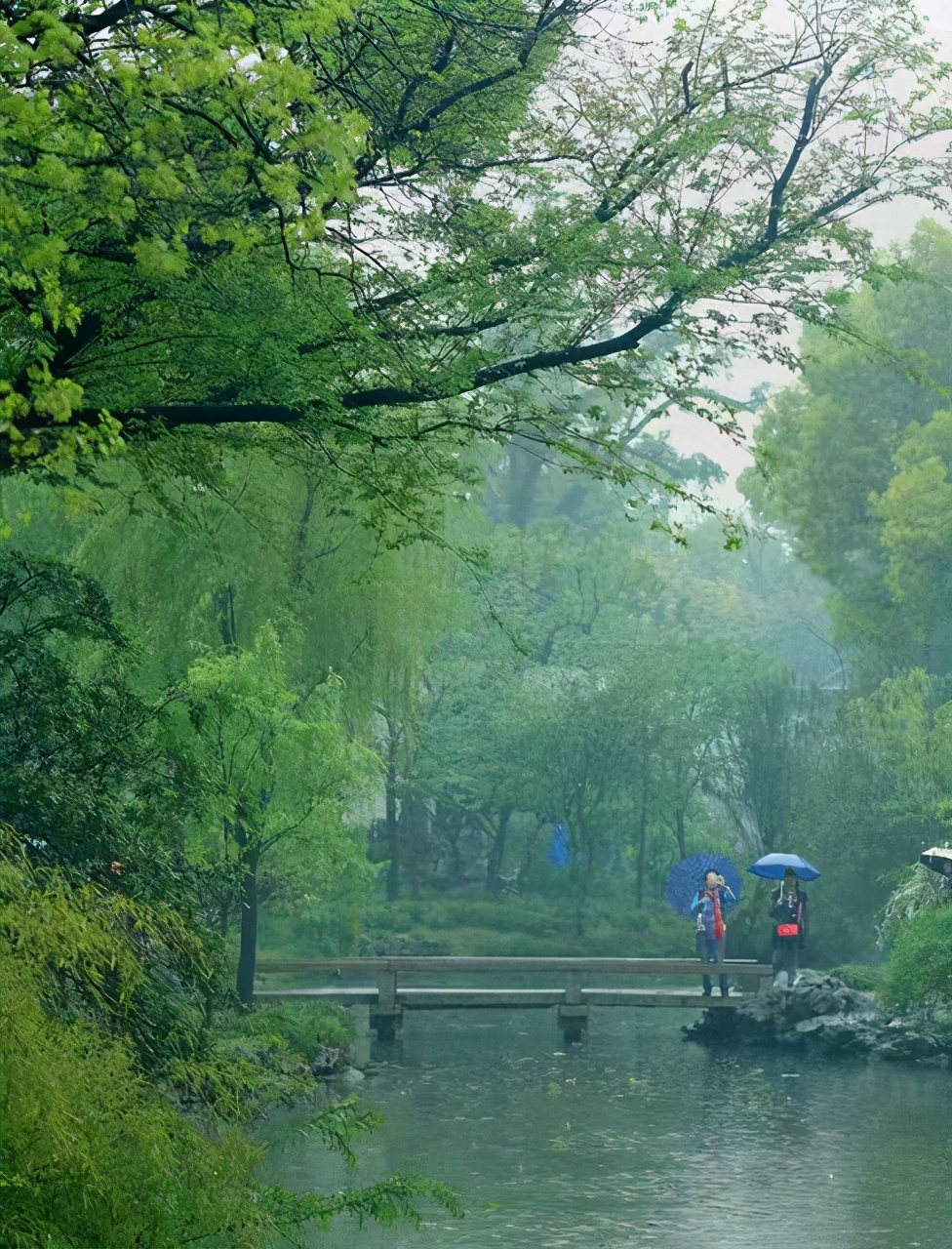 江南春雨图片 真实图片
