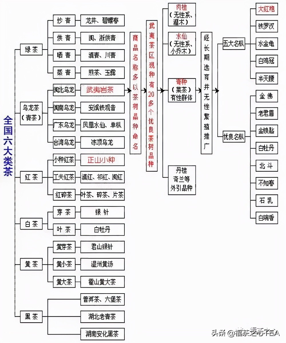 茶百科 | 中國茶葉分類大綱（收藏版）