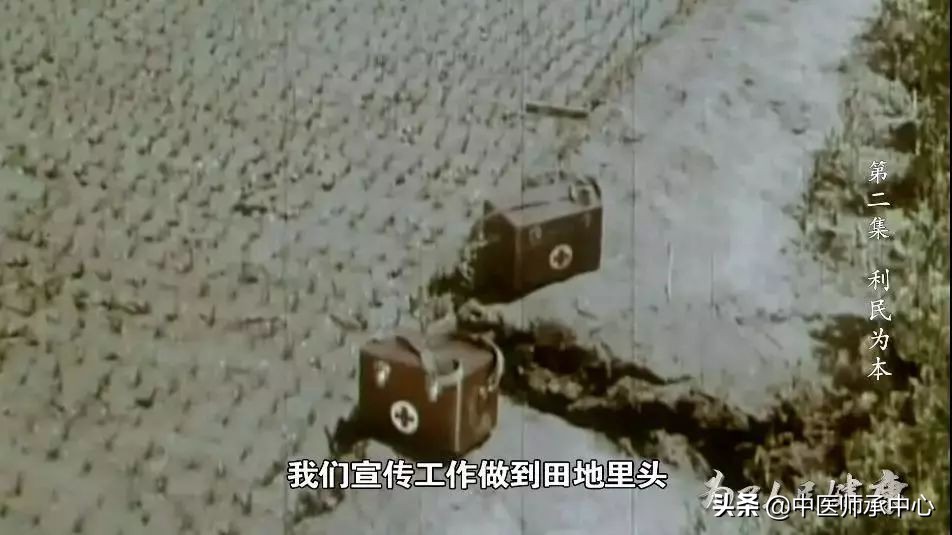 下个70年，中医药能为健康中国做什么？
